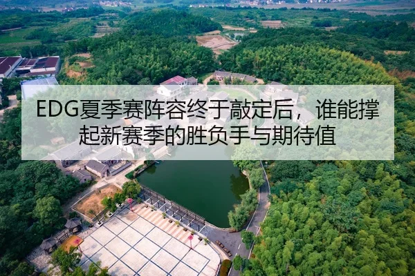 EDG夏季赛阵容终于敲定后，谁能撑起新赛季的胜负手与期待值