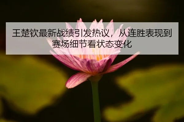 wang-chu-qin-zui-xin-zhan-ji-yin-fa-re-yi-cong-lian-sheng-biao-xian-dao-sai-chang-xi-jie-kan-zhuang-tai-bian-hua-2-558.jpg